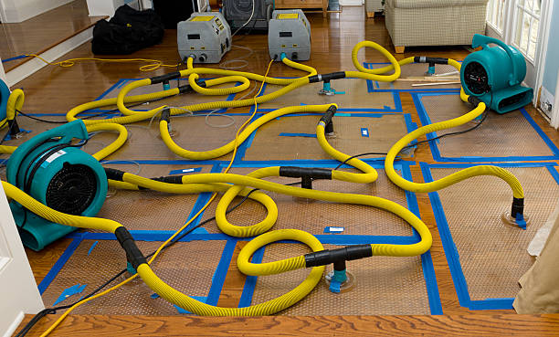 Professional Structural Drying And Dehumidification technician working in Port Murray, NJ